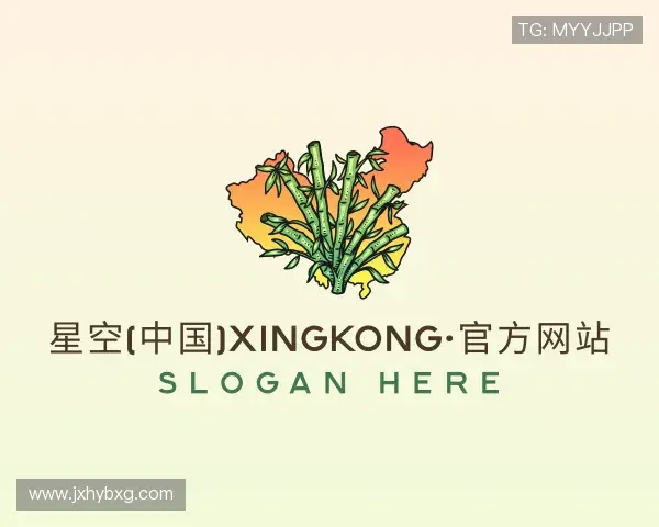 关于星空官方网站